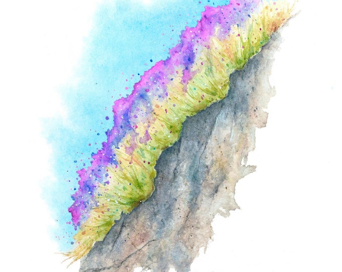 Wildflower Watercolor Painting | Flower Print, California Wildflowers on Rock, Kitchen Wall Decor, Mountainside Wildflowers, Flower Artwork