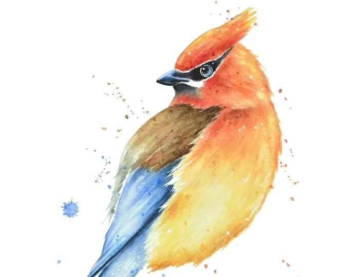 Cedar Waxwing Watercolor Bird Print| Bird Painting, Bird Wall Art, Bird Home Decor, Animal Artwork, Bird Artwork, Animal Boho Painting, Gift