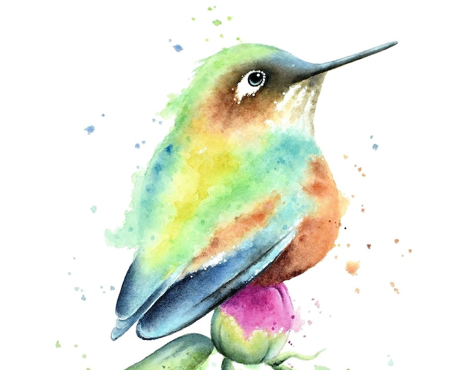 Hummingbird Watercolor Print by Christy Barber | Animal Painting, Bird Wall Art Decor, Bird Watercolor Print, Flower Tiny Mini Artwork