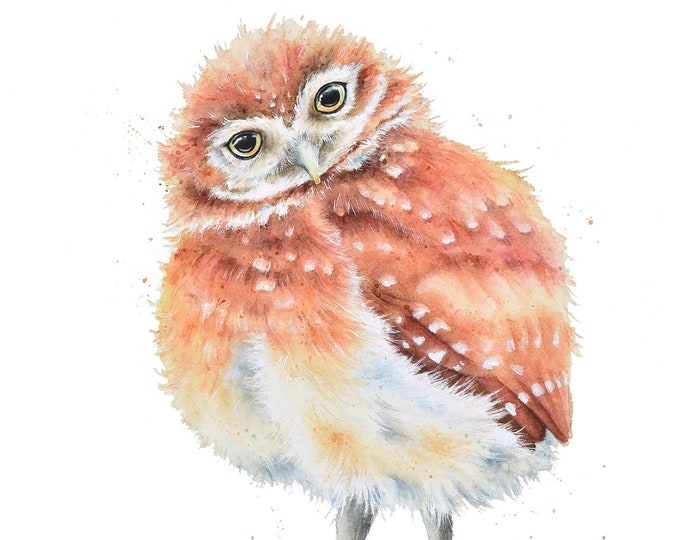 Little Owl Watercolor Painting by Christy Barber |Owl Watercolor Print, Owl Watercolor Print, Bird Painting, Burrowing Owl Bird Artwork