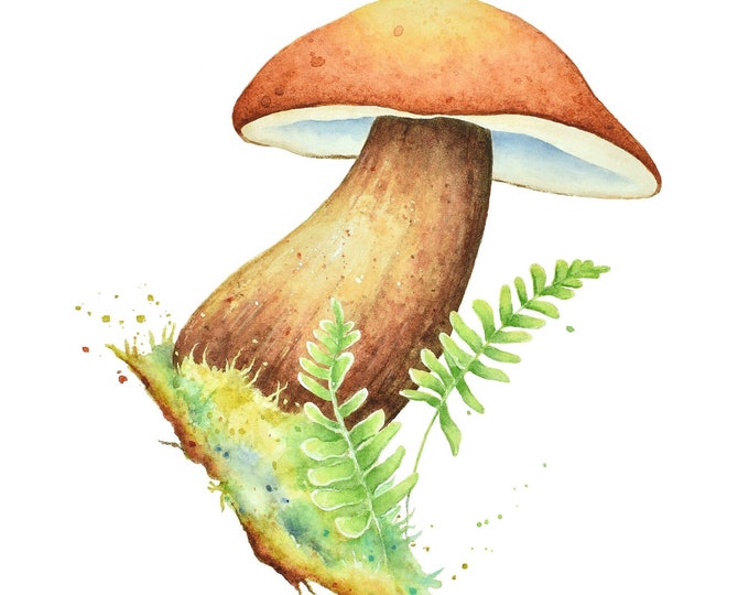 Mushroom Watercolor Art Print| Fungi Painting, Plant Artwork, Woodland Wall Art, Nature Home Decor, Mushroom Art, Botanical Illustration