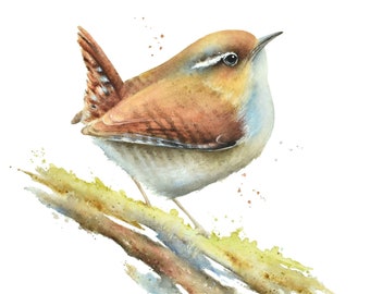 Wren Watercolor by Christy Barber | Jenny Wren, Wren Painting, Bird Art Print, Pacific Wren Wall Art, Bird Decor, Miniature Animal Artwork