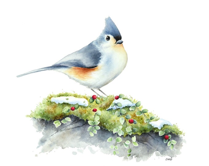 Titmouse Watercolor Painting| Bird Winter Berries, Snowy Winter Bird Watercolor Print, Bird Print, Bird Painting, Snow and Songbird Print