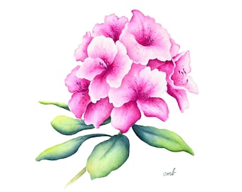 Rhododendron Watercolor Print: Botanical Floral Wall Art