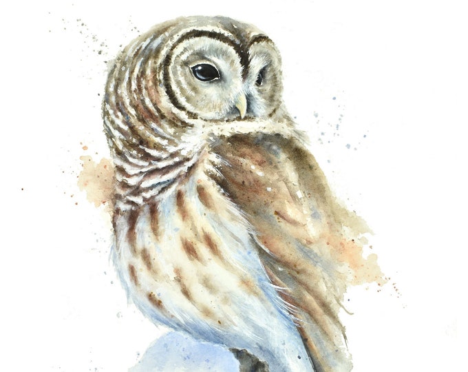 Snowy Barred Owl Watercolor Print | Bird Art Print, Nature Print, Animal Painting, Minimalist Artwork, Bird Wall Art, Home Decor