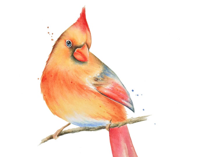 Female Cardinal Watercolor Painting | Northern Cardinal Print, Bird Watercolor Print, Bird Wall Art, Bird Artwork, Cardinal Art Home Decor