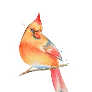 Female Cardinal Watercolor Print: Bird Wall Art Home Decor