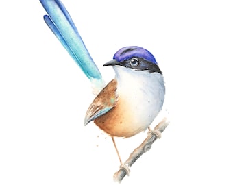 Fairy Wren Purple Crowned Male Watercolor Painting | Bird Artwork, Wall Decor, Nature Art Print, Animal, Illustration,  Minimalist, Wall Art