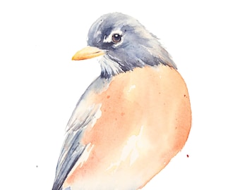American Robin Watercolor Painting: Original Bird Art (5x7)
