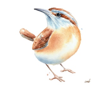Carolina Wren Watercolor Print: Bird Wall Art by Christy Barber