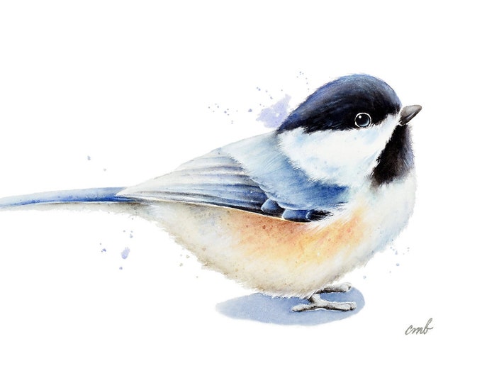 Chickadee Watercolor Print by Christy Barber |Song Bird Watercolor Painting, Chickadee Artwork, Bird Wall Art Home Decor, Bird Illustration