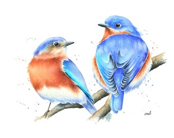 Bluebird Couple Watercolor Painting by Christy Barber |Bluebird Print, Blue Bird Watercolor, Bird Painting, Valentine's Day Anniversary Gift