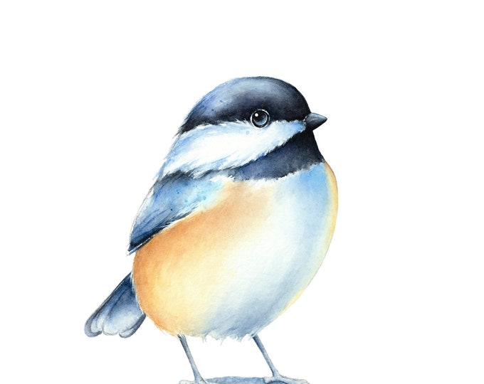 Songbird Watercolor Print by Christy Barber | Chickadee Painting Wall Art, Home Decor, Animal Watercolor, Bird Illustration, Nature, Gift