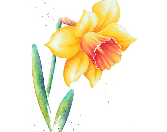 Daffodil  Watercolor Painting by Christy Barber | Daffodil Flower Print, Spring Art Kitchen Decor, Yellow Floral Artwork, Flower Wall Decor