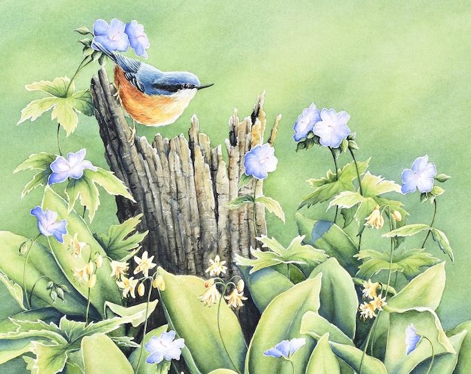 Nuthatch Watercolor Print | Bird and Purple Flowers Painting, Wildflowers Bird Print by Christy M Barber, Forest Floor Woodland Painting,