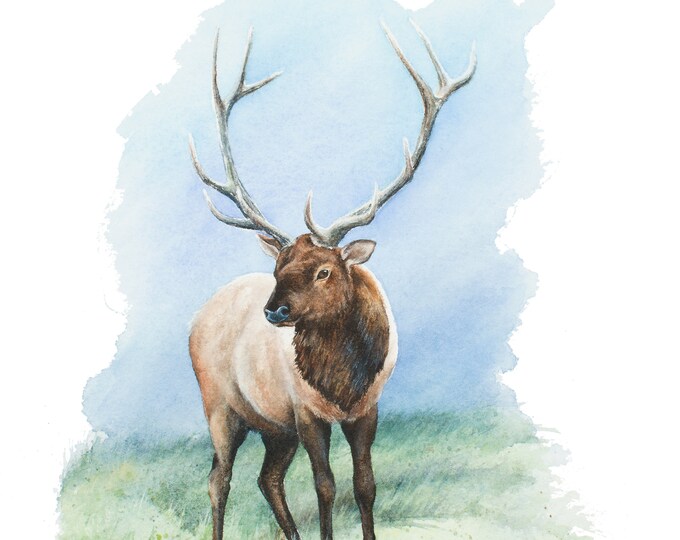 Elk Print by Christy Barber- Elk Painting, Man Cave Art, Elk Watercolor Print, Sport/Game Room Artwork- Men's Gift-Smoky Mountain Elk