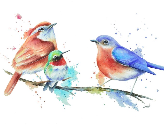 Birds on Branch Watercolor | Songbirds and Hummingbird Painting, Bluebird Painting, Wren Print, Hummingbird Art, Contemporary, Illustration