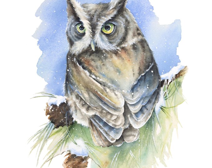 Screech Owl on Snowy Pine Branch by Christy Barber | Animal Painting, Bird Watercolor, Winter Wall Art, Illustration, Home Decor, Wildlife