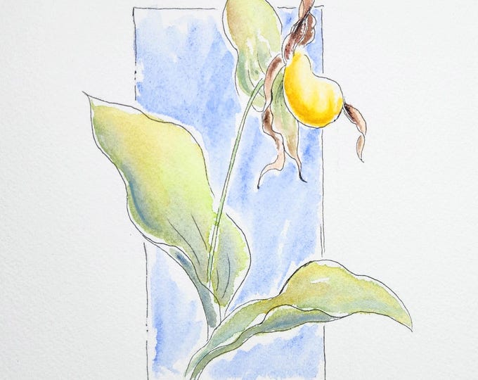 Yellow Lady Slipper Original Watercolor Painting | Original Art Flower Painting, Wildflower, Original Painting Study, Forest Orchid, Gift