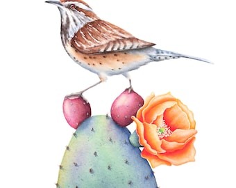 Cactus Wren Watercolor Art Print: Desert Bird Illustration
