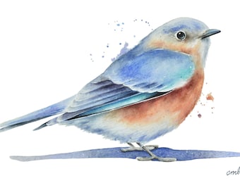 Bluebird Watercolor Print: Songbird Wall Art by Christy Barber