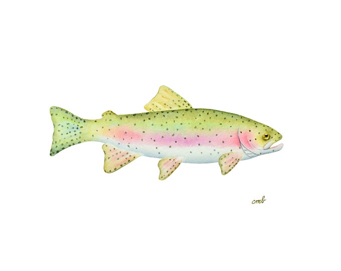 Rainbow Trout Art | Fish Watercolor, Trout Print, Fish Illustration, Nature Painting, Mountain Home Wall Decor, Fly Fishing Decor, Men Gift