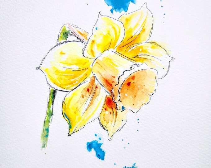 Daffodil  Original Watercolor Study by Christy Barber | Flower Painting, Spring Art Kitchen Decor, Botanical Original Artwork, Wall Decor