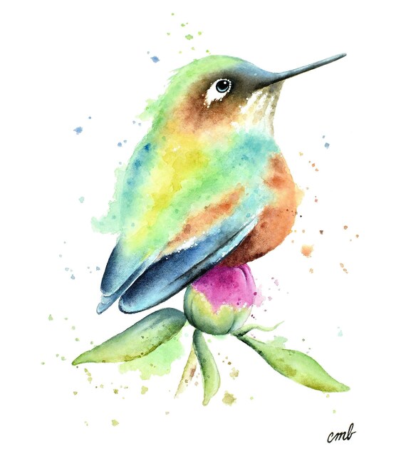 Impression aquarelle colibri par Christy Barber Peinture de