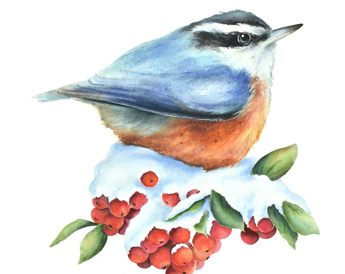 Nuthatch Watercolor Painting| Bird Art Print, Animal Painting, Tiny Mini Wall Art, Bird Home Decor, Winter Decor Red Berries, Christmas Gift
