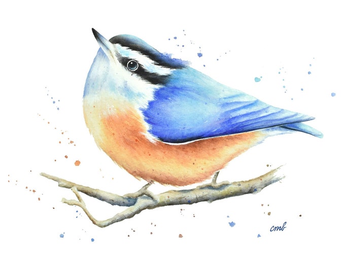 Nuthatch Watercolor | Nuthatch Painting, Animal Giclee Print, Miniature  Songbird Art, Bird Lovers Artwork, Wall Art Illustration