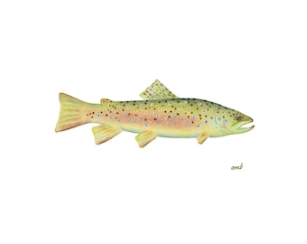 Brown Trout Watercolor Print: Fly Fishing Art, Mountain Cabin Decor