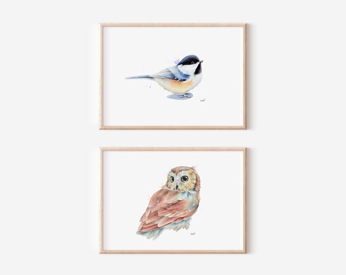 Set of Two Woodland Birds | Saw-Whet Watercolor Owl, Bird Wall Art, Chickadee Painting, Birdwatcher Gift, Forest Animal Artwork, Home Decor