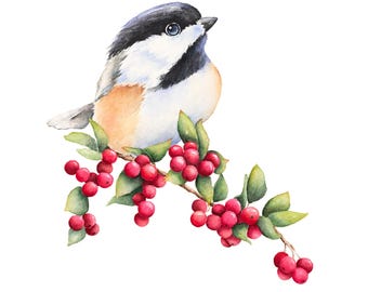 Chickadee Watercolor Painting: Red Berry Branch, Winter Bird Art Print