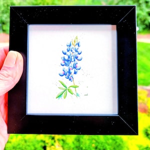 Framed Bluebonnet Watercolor Painting: Texas Wildflower Art Print