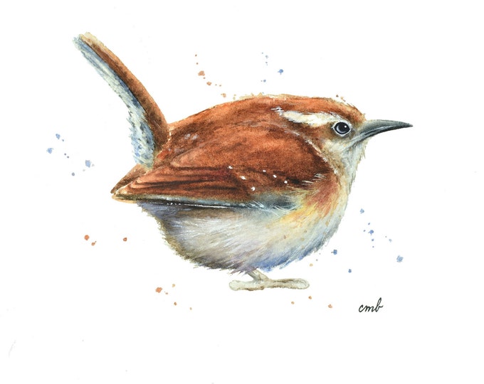 Wren Watercolor Painting by Christy Barber | Garden Print, Animal Artwork, Tiny Art, Songbird Wall Art Decor, Bird Lovers Gift, Illustration