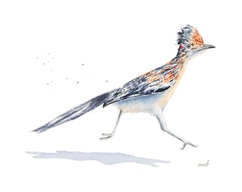 Original Roadrunner Watercolor Painting: Bird Illustration Art (8x10 in)
