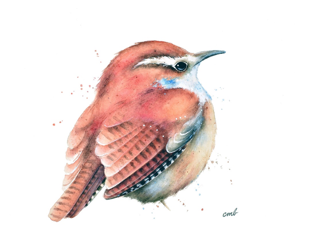 Wren Watercolor Print By Christy Barber Animal Watercolor Painting