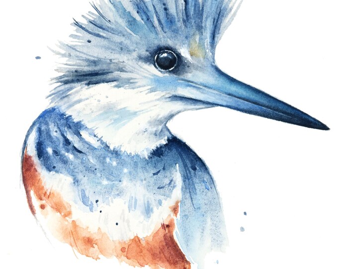 Kingfisher Profile Watercolor Original by Christy Barber | Bird Study Wall Art, Animal, Illustration, Painting, Nature Decor, Artist's Study