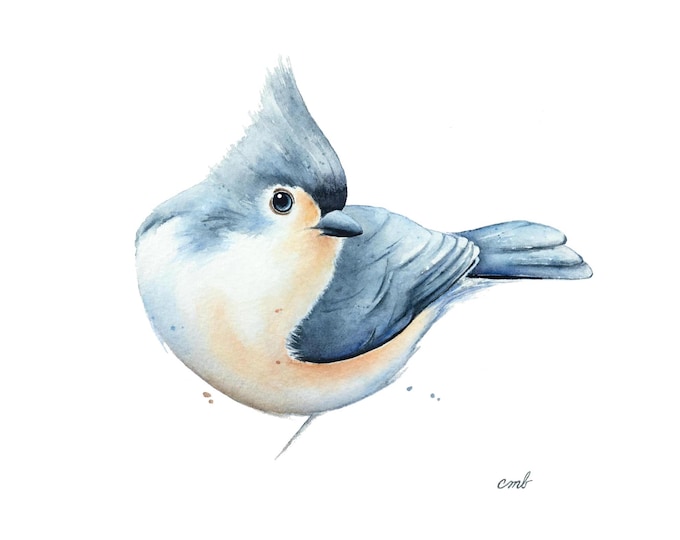 Titmouse Watercolor Print by Christy Barber |Bird Painting, Animal Artwork, Songbird Wall Art, Home Decor, Illustration, Nature Lovers Gift