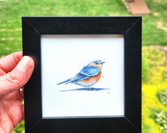 Framed Bluebird Watercolor Print: Songbird Wall Art by Christy Barber