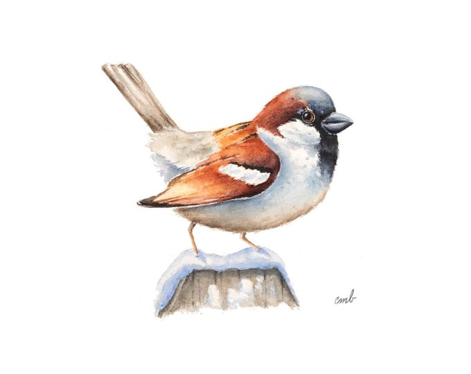 House Sparrow Snowy Pole Watercolor Painting: Miniature Bird Art, Artist's Study (5x7 in.)