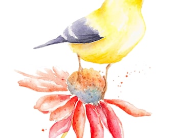 American Goldfinch Watercolor Painting: Original Bird Art, Red Flower