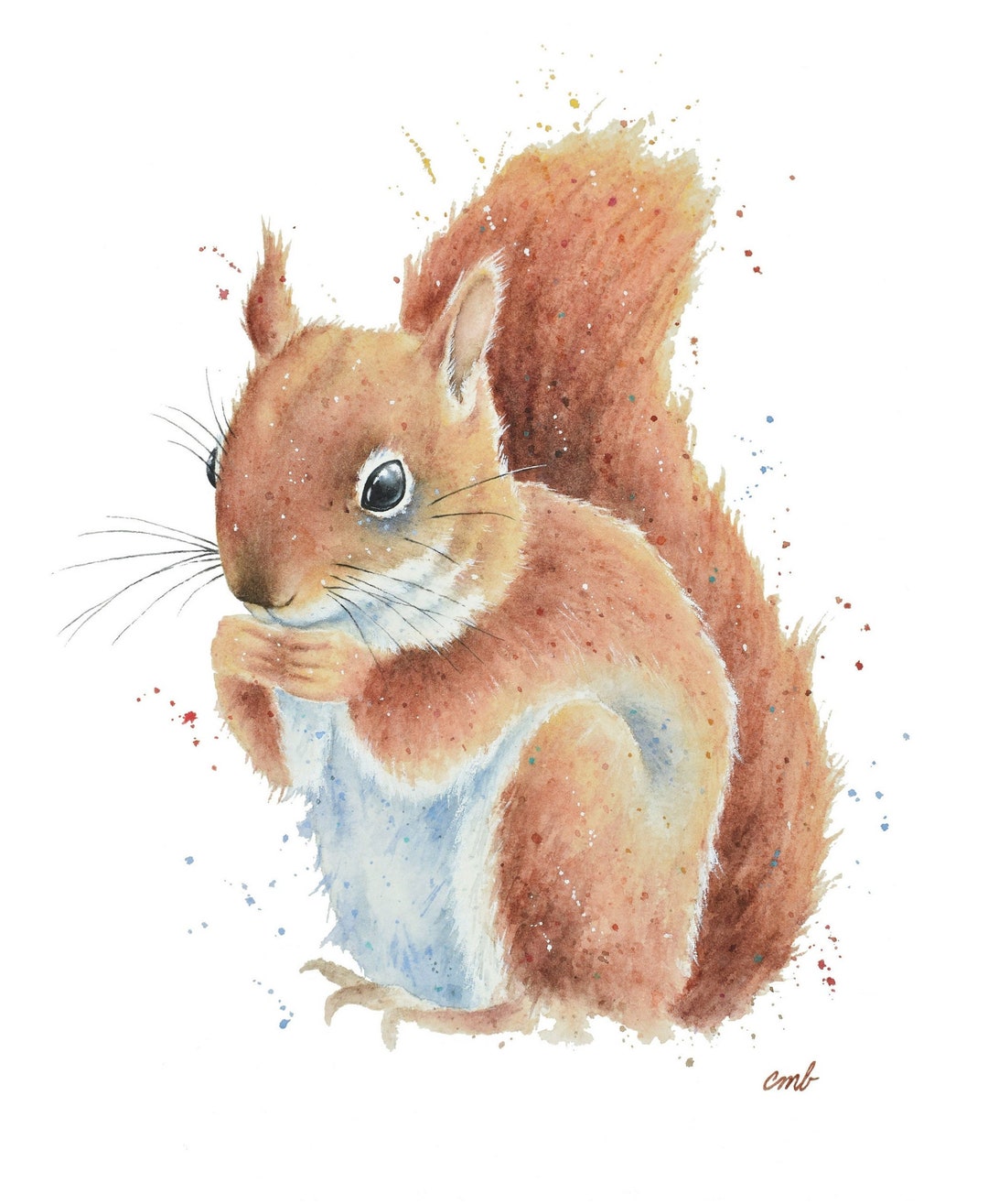 Squirrel Watercolor Print Squirrel Painting Young Squirrel Etsy