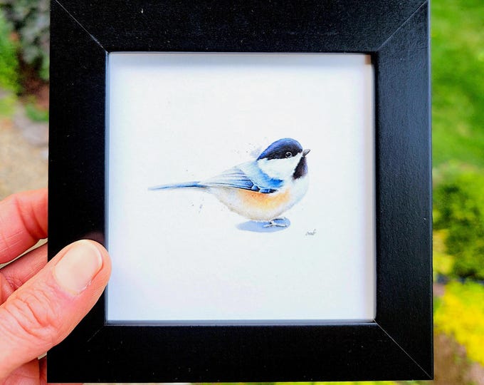 Framed Chickadee Watercolor Print: Songbird Illustration, Ready to Hang