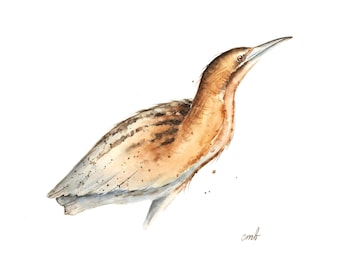 Bittern Original Watercolor Painting: Miniature Bird Art (5x7 in)