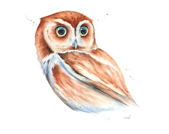 Owl Watercolor Painting by Christy Barber | Screech Owl painting, Tiny Art Print, Bird Lovers Miniature Watercolor, Animal Print Wall Decor