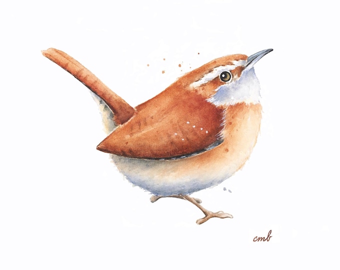 Wren Watercolor by Christy Barber | Minimalist Art, Wren Painting, Bird Art Print, Carolina Wren Wall Decor, Animal Artwork, Illustration
