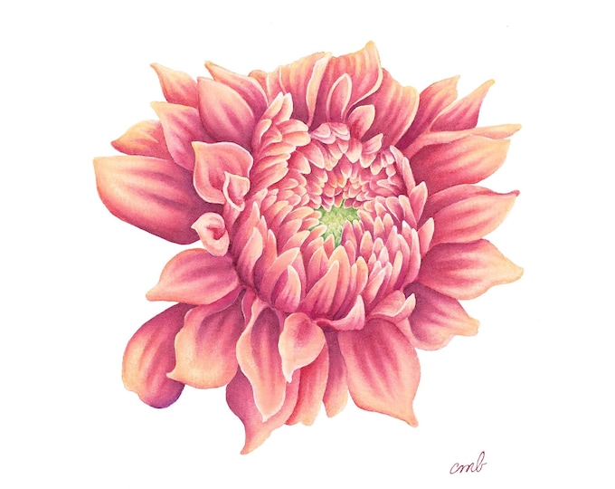 Dahlia Watercolor | Dark Pink-Yellow Flower Print, Garden Botanical Kitchen Decor