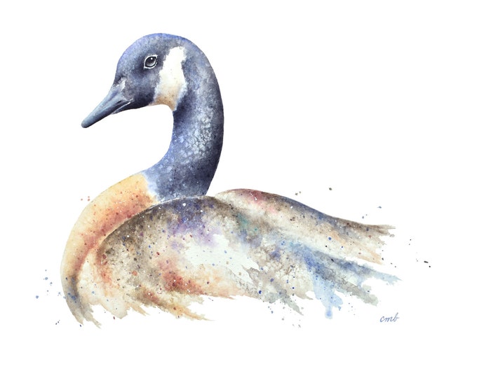 Canadian Goose Watercolor Print| Goose Painting By Christy Barber, Bird Watercolor, Animal Painting, Wildlife, Wall Art Decor, Hunting