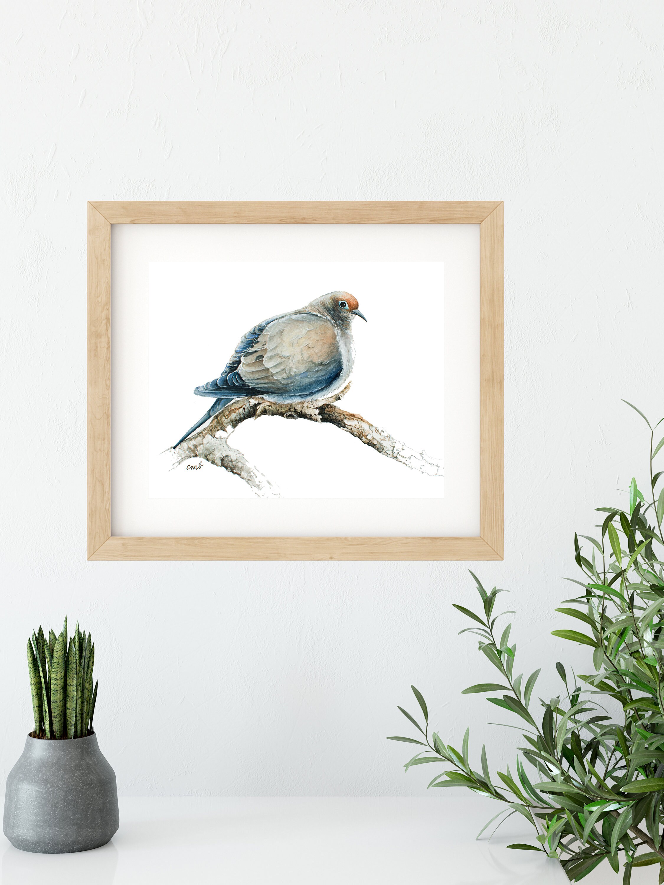 Mourning Dove Watercolor Print | Mourning Dove Watercolor Painting by ...